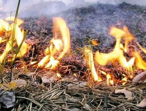 Пожароопасный период фото