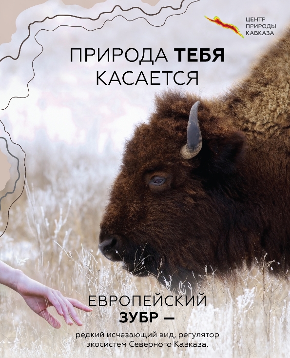 Первая молодежная школа по сохранению природного разнообразия в Дагестане  фото