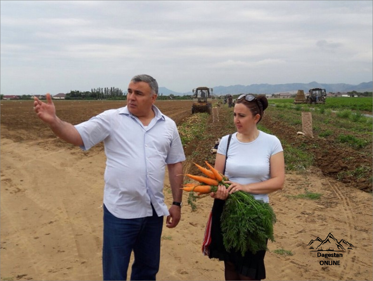 Развитие фермерского хозяйства в Кумторкалинском районе фото
