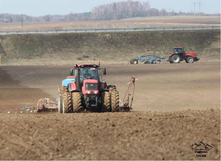 100% выполнение плана по посеву яровых в Республике Дагестан фото