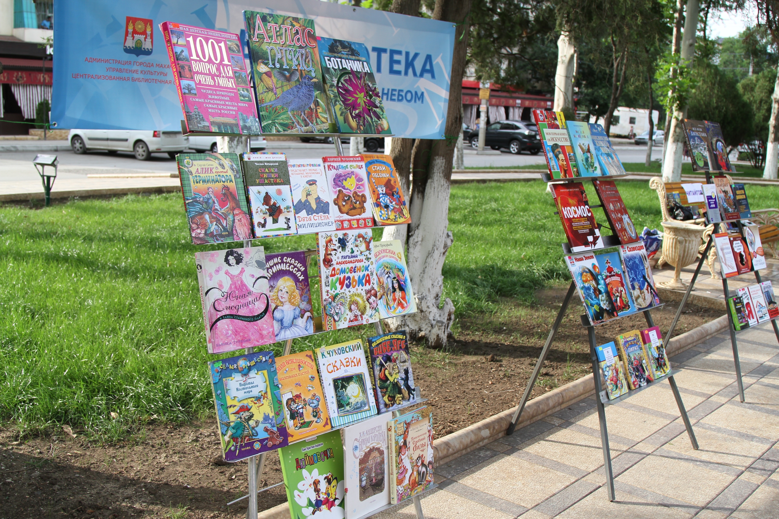 Читальный зал под открытым небом фото