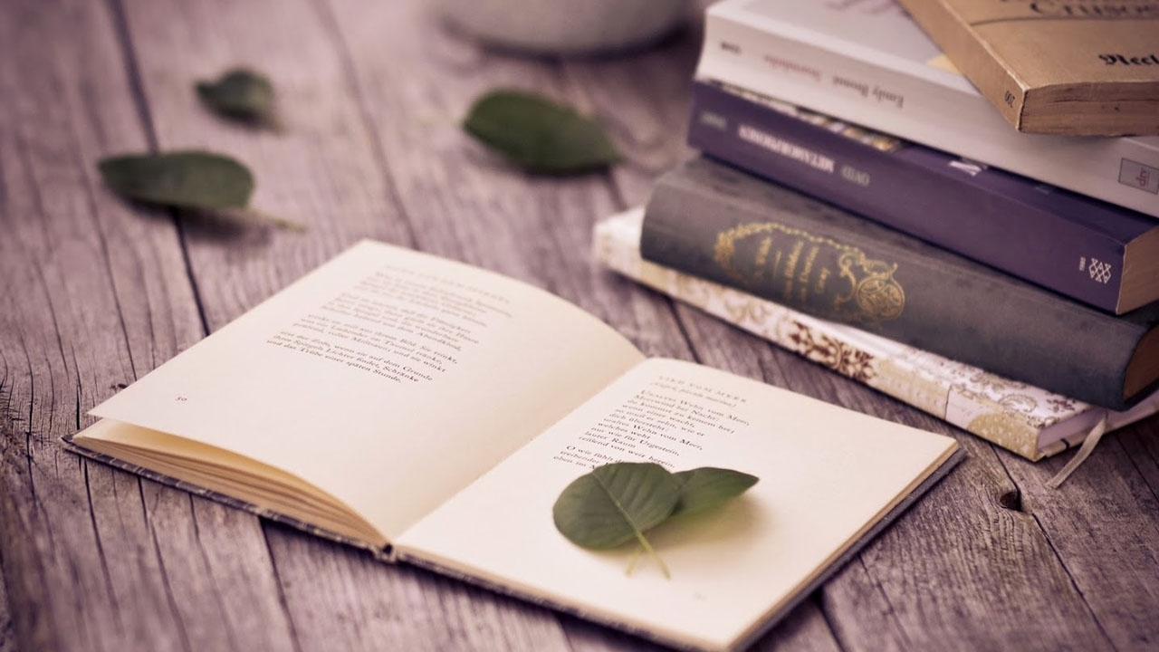 Дни дагестанской поэзии в Республике Адыгея фото