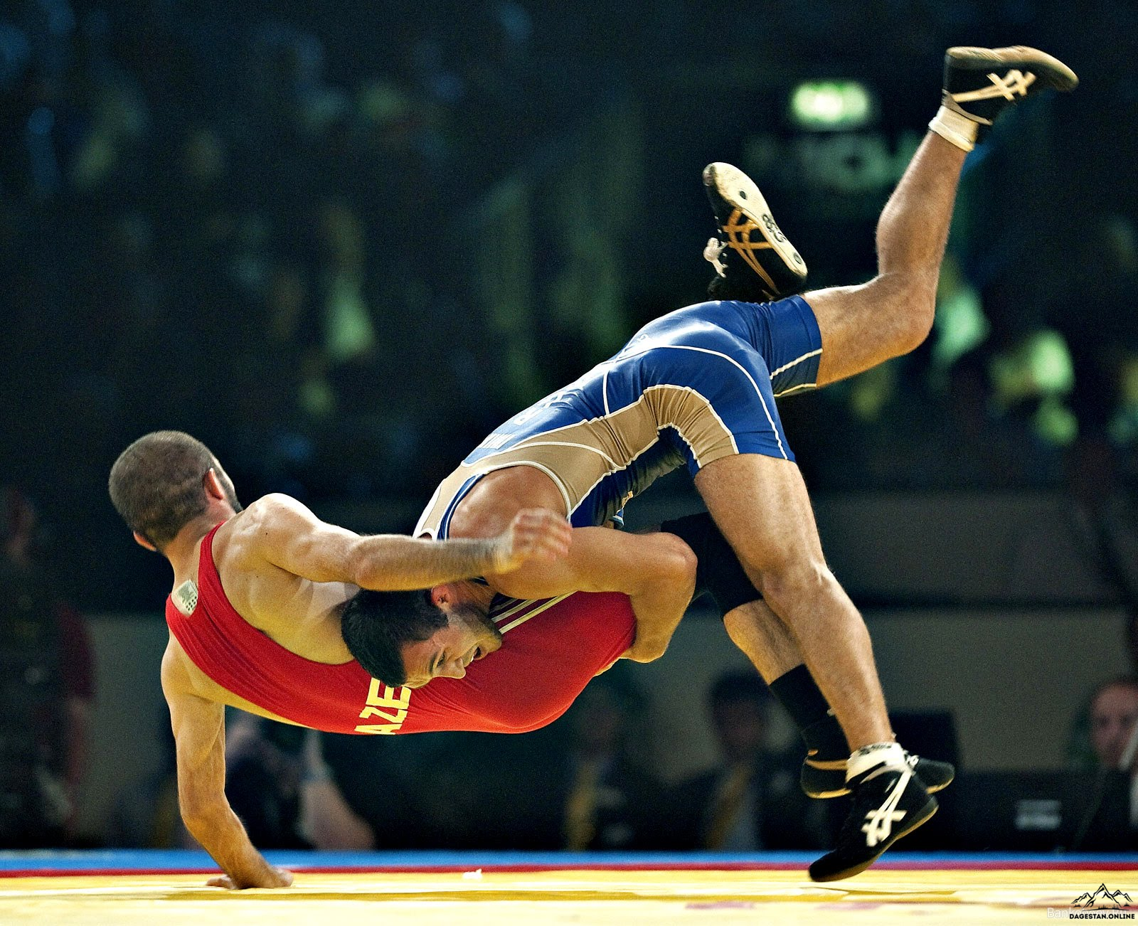 Стал известен состав сборной по вольной борьбе фото