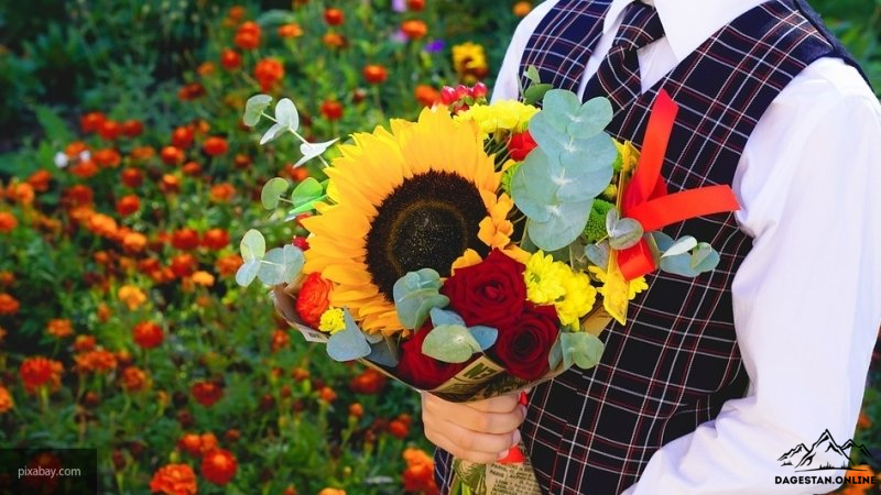 1 сентября не за горами, а учить некому 1 сентября не за горами, а учить некому фото