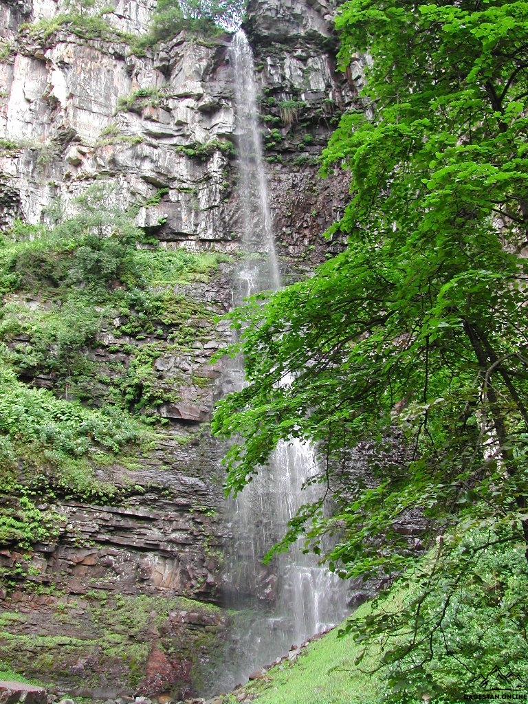 Туристический форум «Ицари – 2017» фото