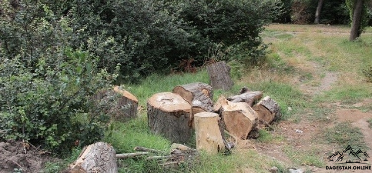 Ничего ценного фото