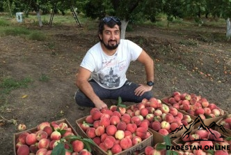 Предприимчивости не занимать фото