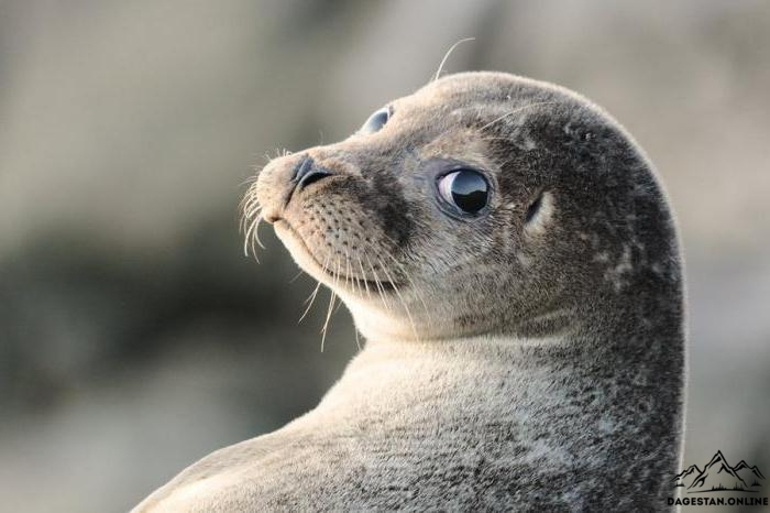 Сохранить, а не уничтожить фото