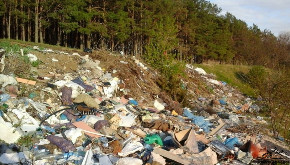 Ликвидация мусорных свалок с территорий Дагестана фото