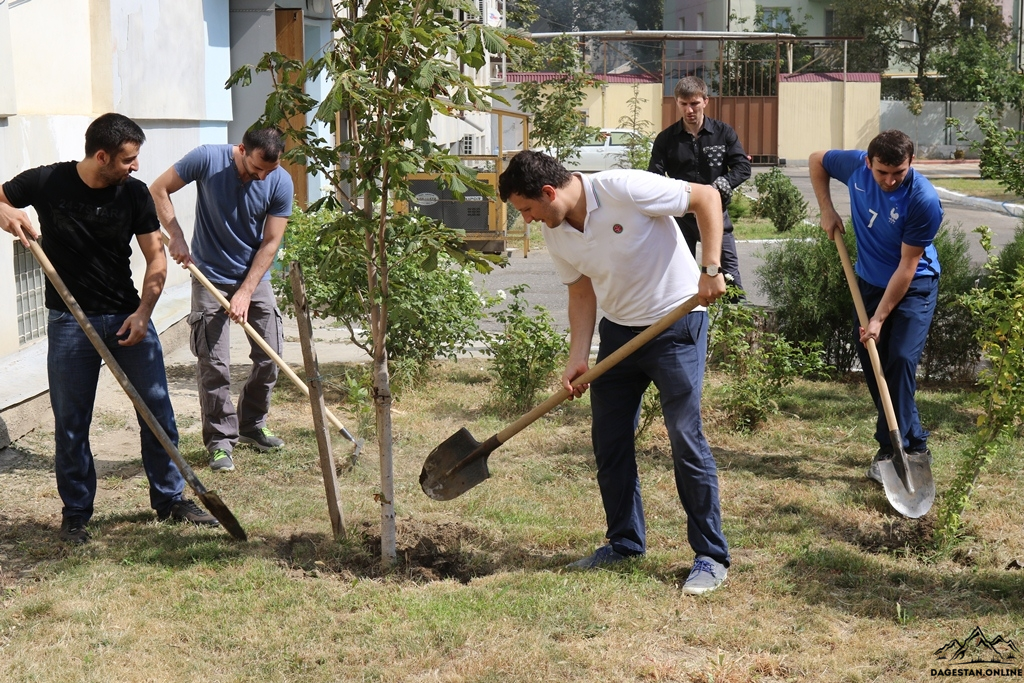 Сотрудники министерства труда и социального развития за чистоту в городе фото