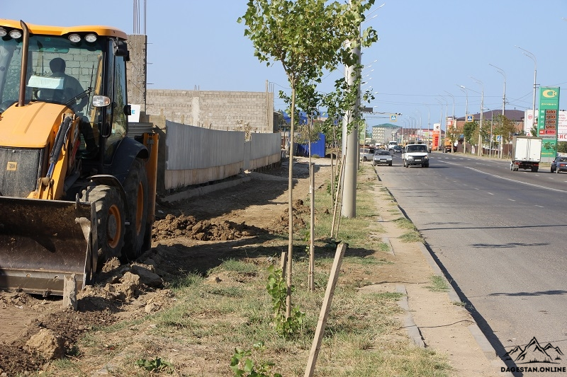 Благоустройство одной из самых длинных улиц Махачкалы фото
