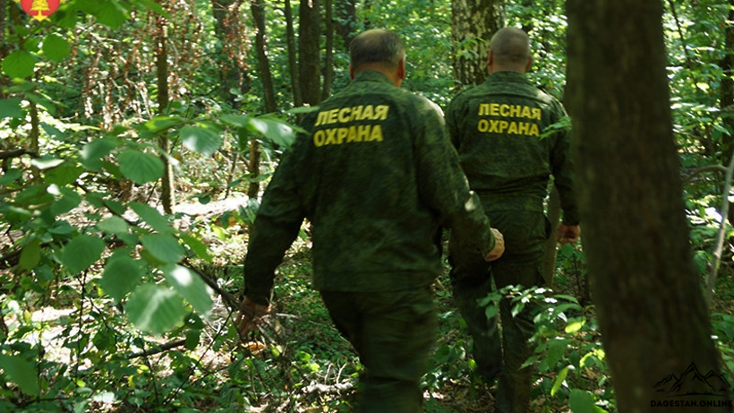 В Дагестане усилят охрану лесов от пожаров в период майских праздников фото