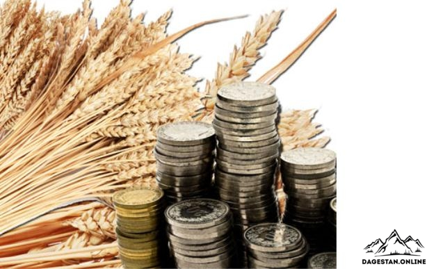 Господдержка АПК Дагестана увеличится до 3 млрд рублей в 2018 году   фото