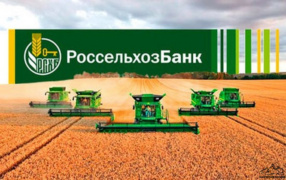 На поддержку компаний МСП в первом квартале Россельхозбанк направил 56 млрд рублей фото