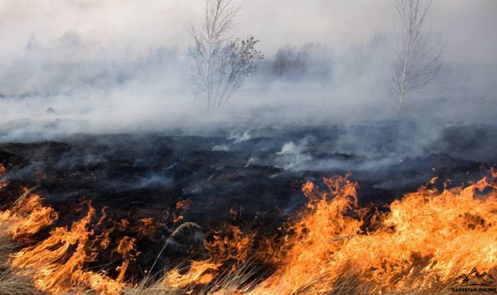 МЧС предупредило о чрезвычайной пожароопасности в Дагестане и Ставропольском крае   фото