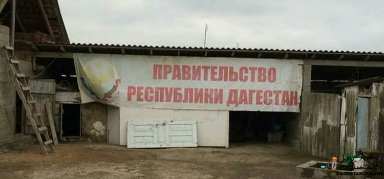 Жители Дагестана  обсуждают вывешенный над  сараем баннер правительства РД фото