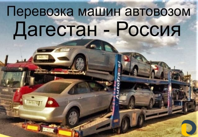 Отправим авто. Номер телефона автовозов. Автовоз Москва Махачкала номер. Автовоз Таджикистан. Автовоз Москва Дербент.