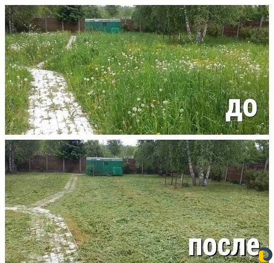 Покос травы фото до и после