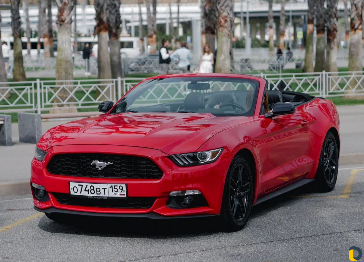 Прокат / Аренда Кабриолета Ford Mustang Red в Сочи / Транспорт, перевозки /  Услуги Сочи - объявления о услугах | Дагестан Онлайн