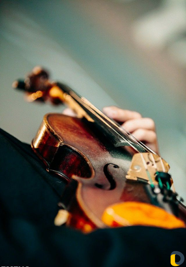 Обучение на скрипке. Музыкальная школа урок скрипки. Учеба на скрипке Уфа. Учеба на скрипку где лучше Краснодар или Питер. Скрипки краснодар