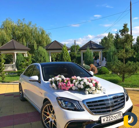 Мерседес w222 свадьба