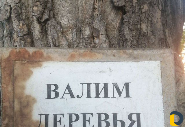 Валим деревья